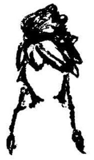 The Kat Bolyard Memorial Fund